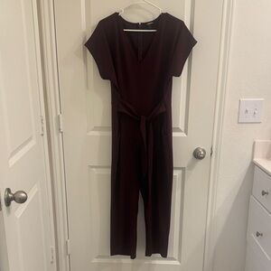 Express Deep Burgundy/Dark Plum Jumpsuit